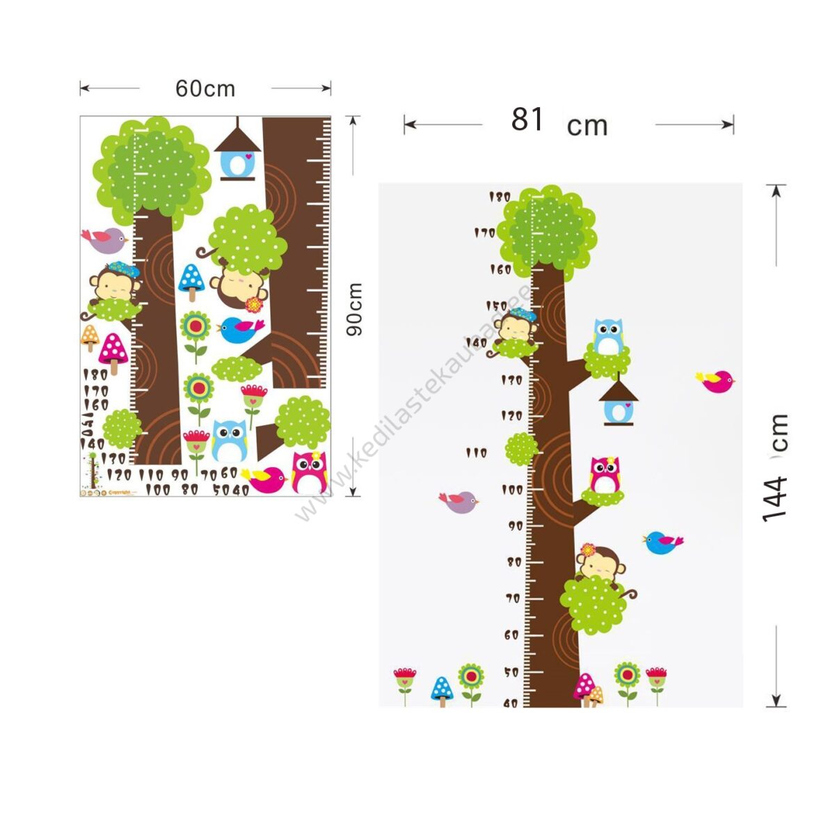 Seinakleebis “Mõõdupuu ahvide ja öökullidega”