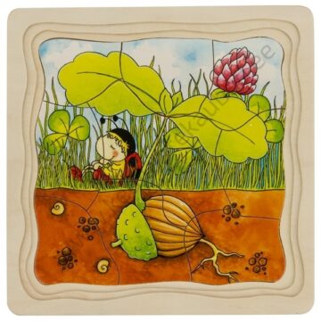 goki-kihiline-pusle-kuidas-kasvab-puu2