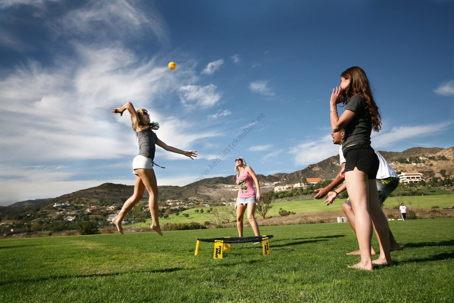 spikeball-standard-6