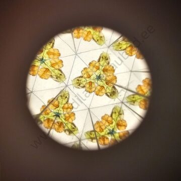 Little-dutch-kaleidoskoop-forest-friends-2