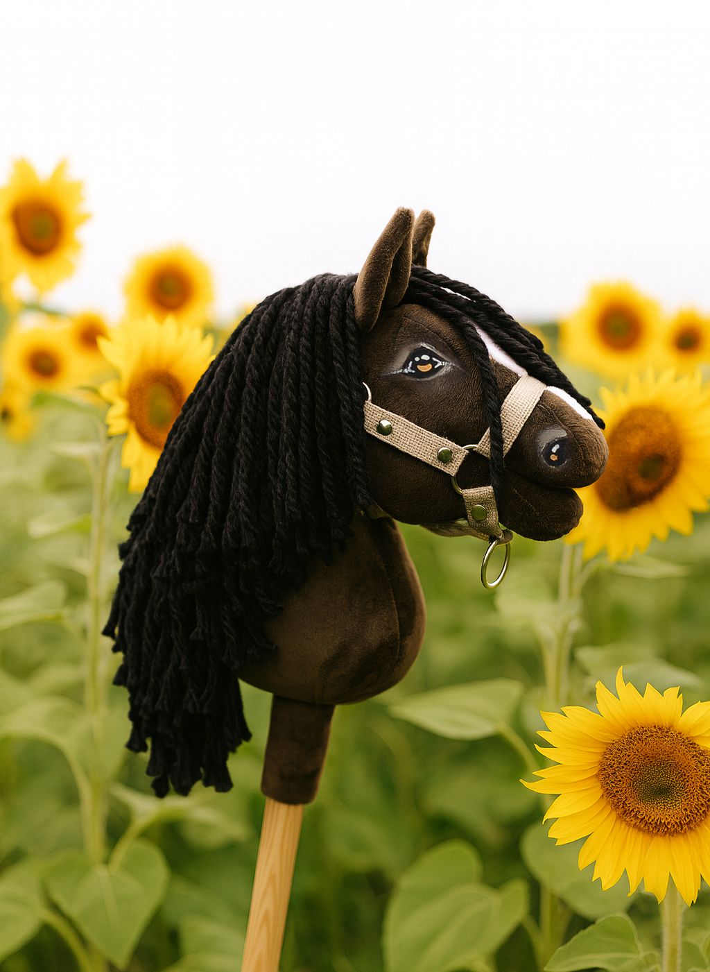 Kepphobune Super Hobby Horse Premium A5